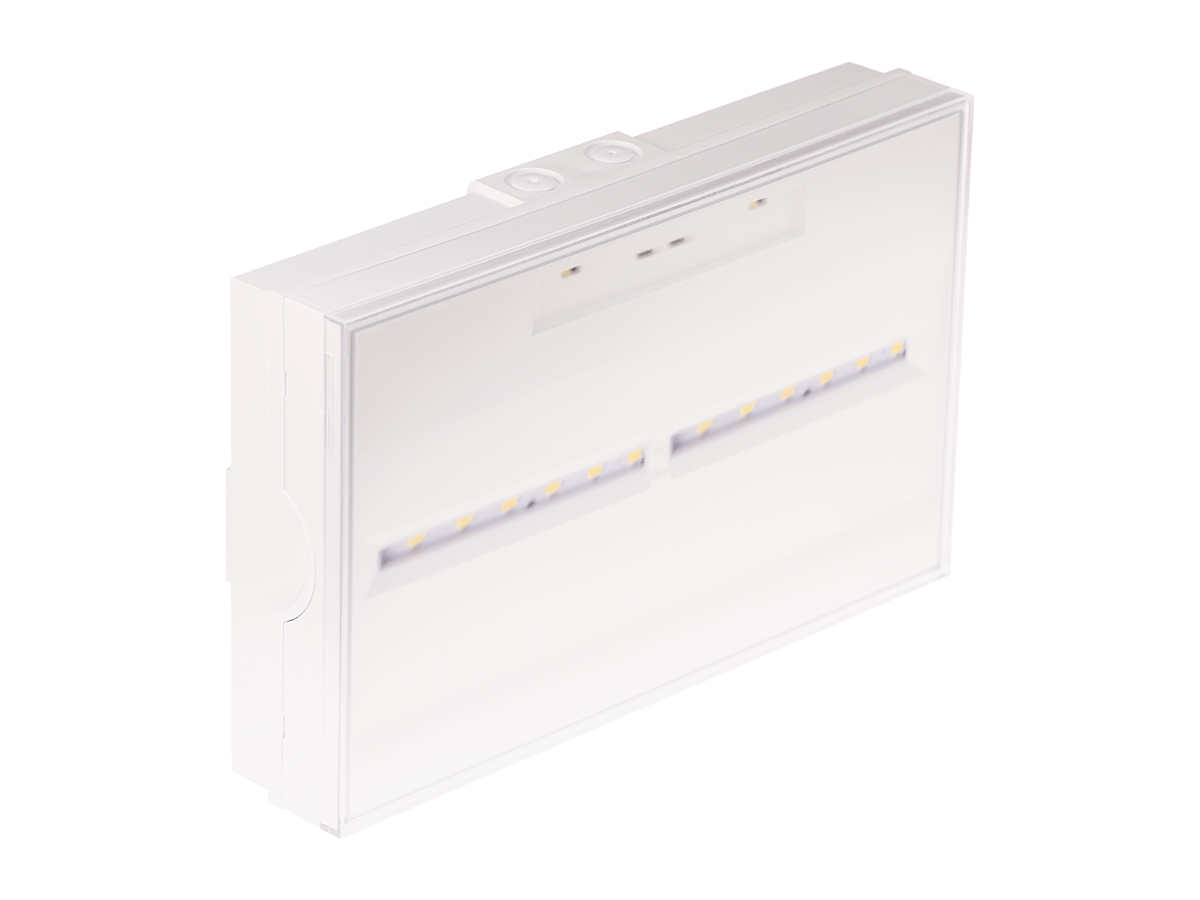 ZEMPER – TOLEDO - BAES d’ambiance SATI LED 400 lm IP65 IK07 autonomie 1h - Réf : LTE-3350EX