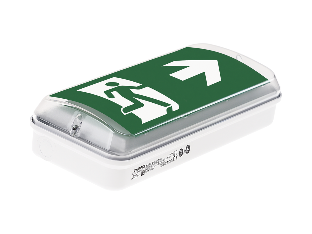 ZEMPER – XENA FLAT IK10 - BAES d’évacuation SATI LED 45 lm IP66 IK10 autonomie 1h - Réf : LXE-3045EX