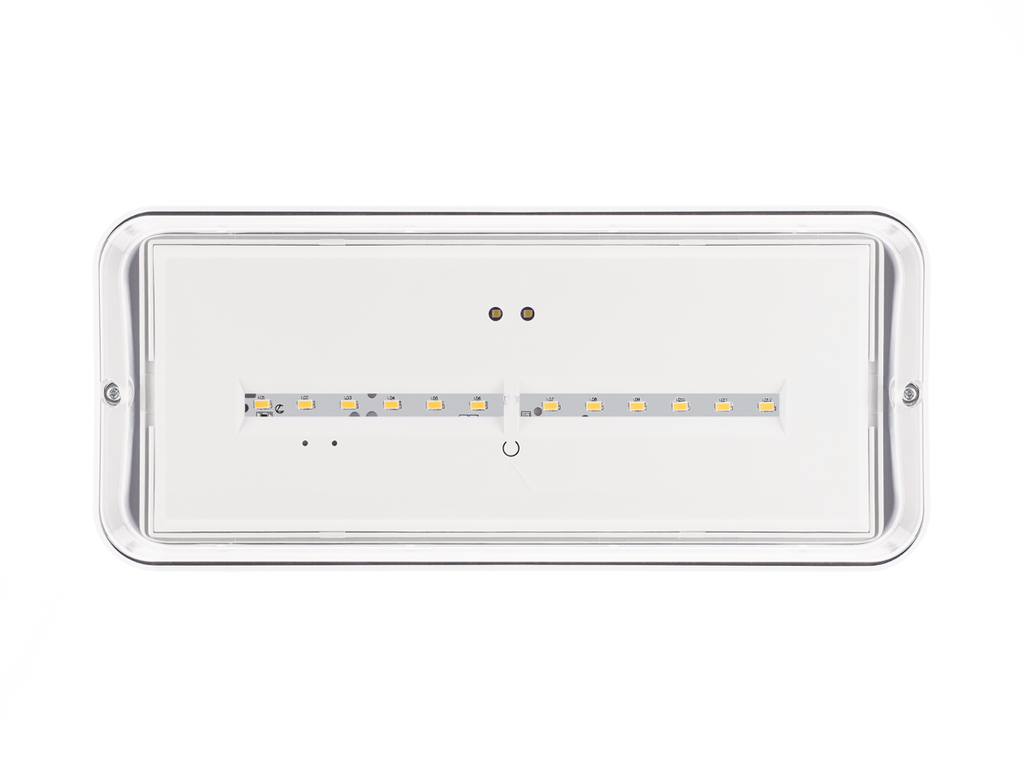 ZEMPER – XENA FLAT IK10 - BAES d’ambiance SATI LED 500 lm IP66 IK10 autonomie 1h - Réf : LXE-3400EX