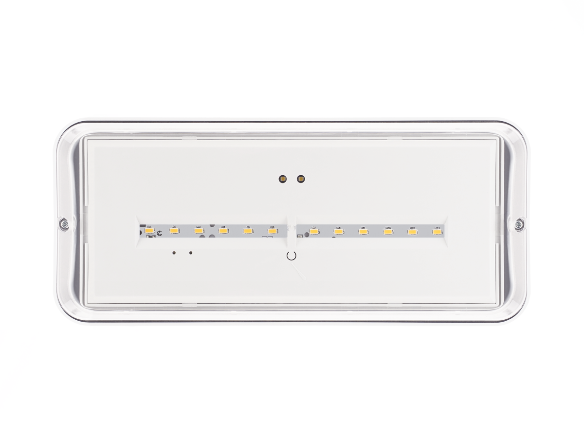 ZEMPER – XENA FLAT IK10 - BAES d’ambiance SATI LED 500 lm IP66 IK10 autonomie 1h - Réf : LXE-3400EX